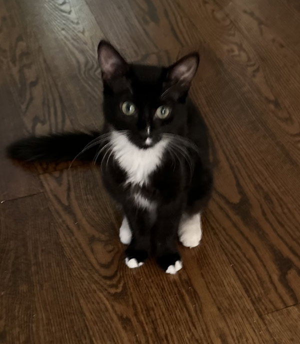 Gina