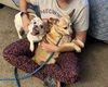 Miley NJ (bonded pair with Carson NJ)