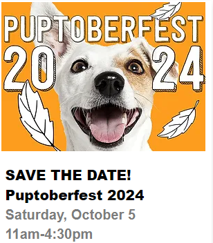 *Any Puptoberfest Dog