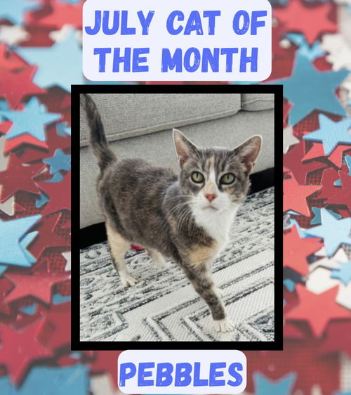 Pebbles