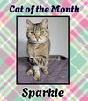 Sparkle