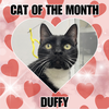 Duffy RM - Photo 1
