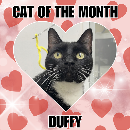 Duffy RM