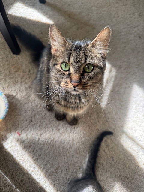 Bella