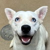 Whitnee GCH