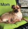 Ethel's Kathy Lonestar