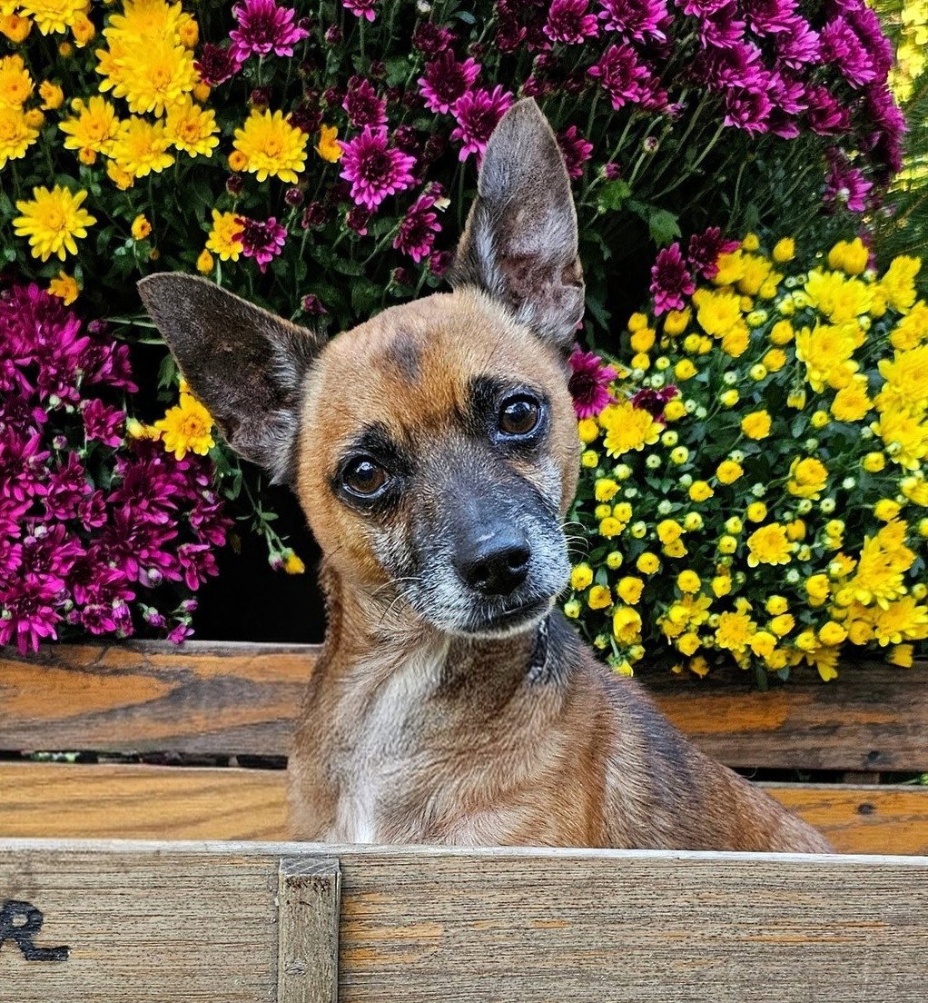 Brody NJ Image
