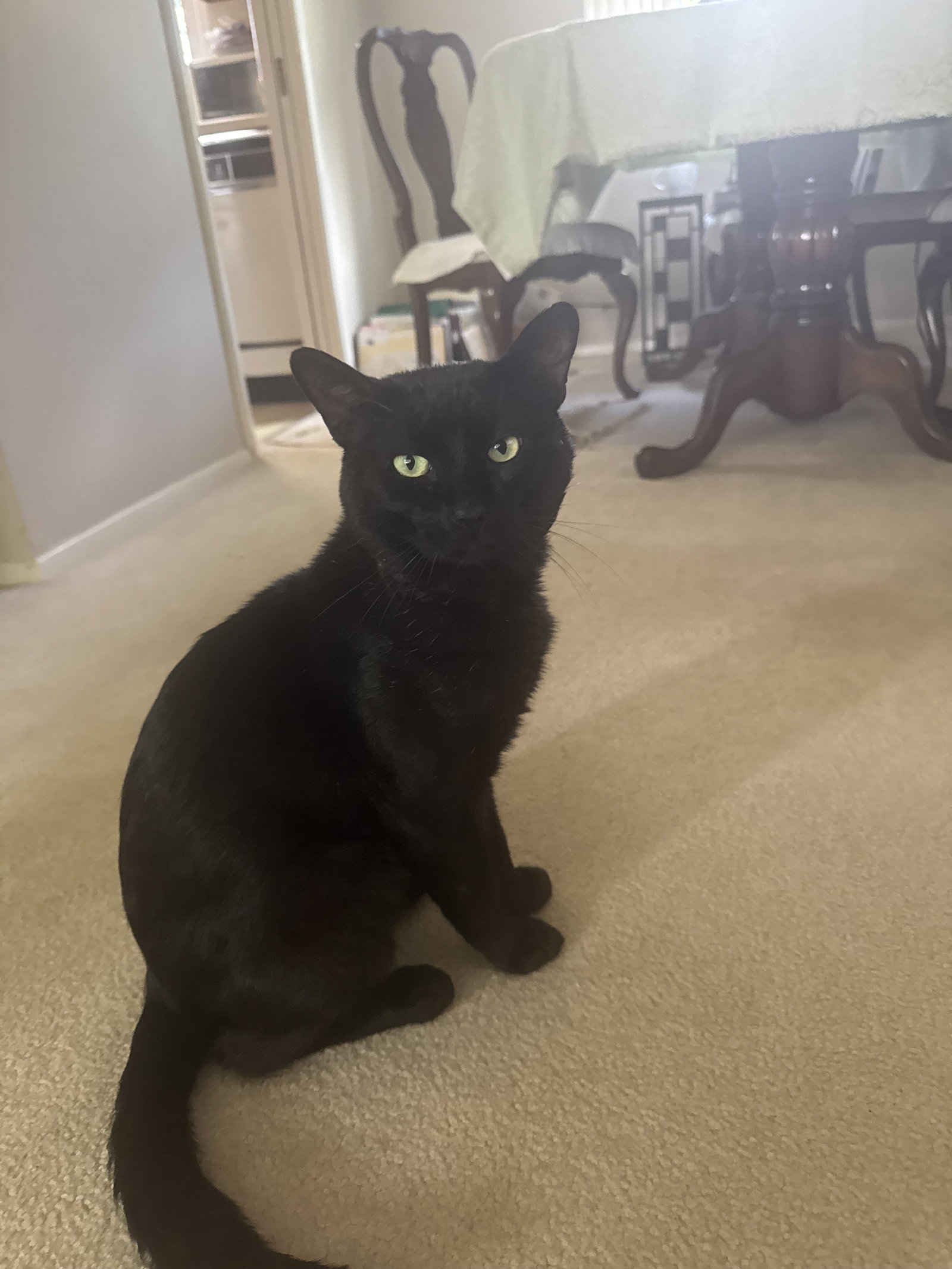 Oliver Image