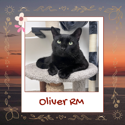 Oliver RM