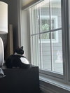 Eddie KITTEN