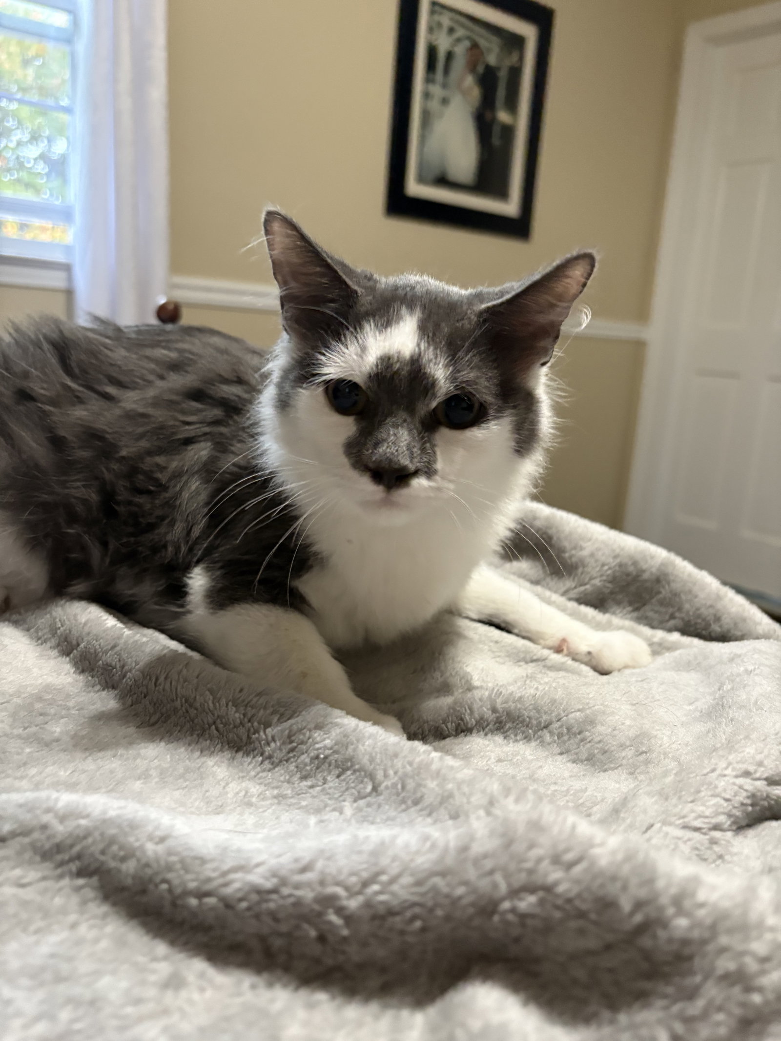 Fred KITTEN Image