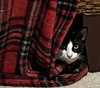 Penelope KITTEN RM