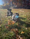 Poppet’s Pacino Louisiana