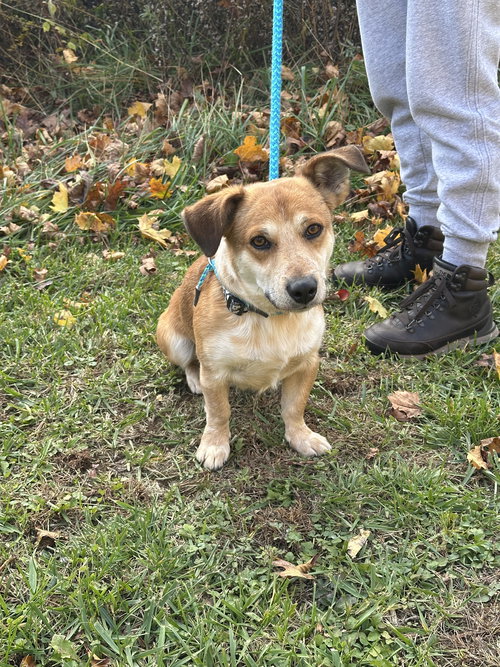 Colby Louisiana