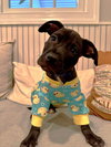 Gizmo NJ