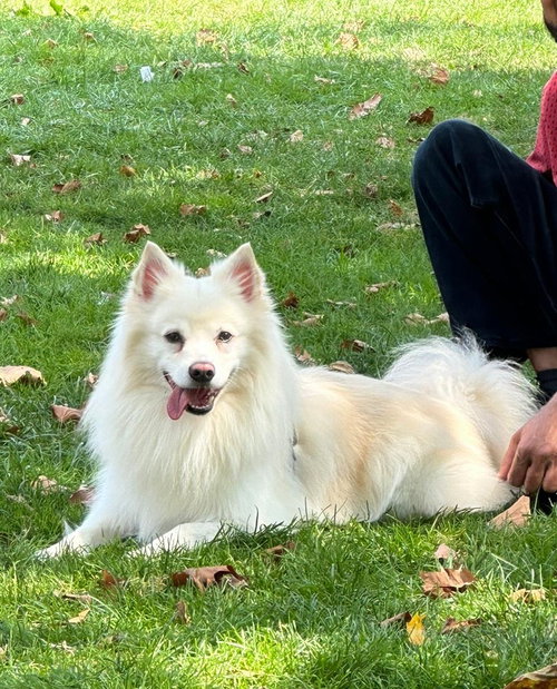 Milo NJ