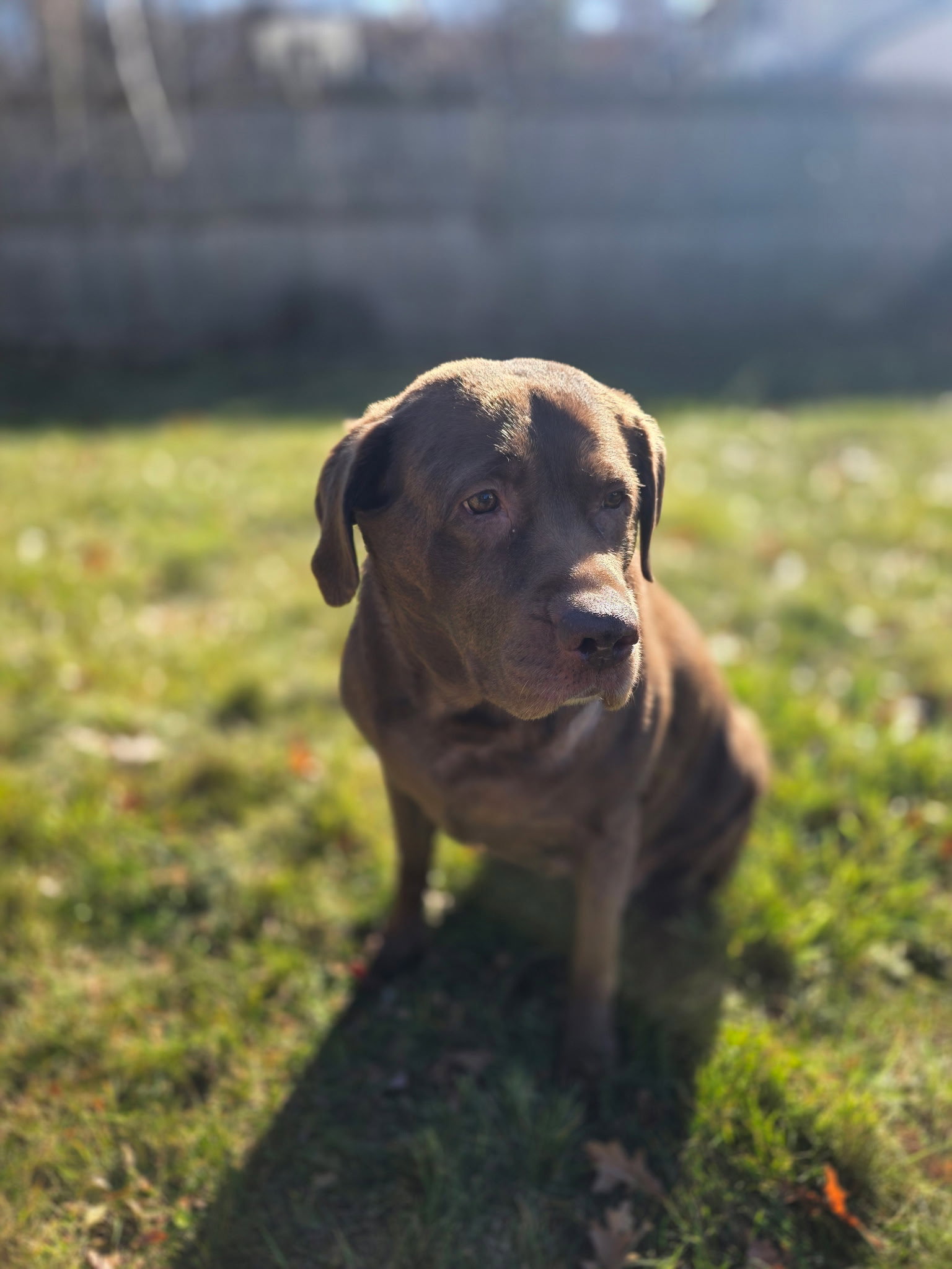 Molly NJ Image