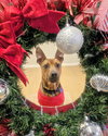 Tater Barkville - Photo 2