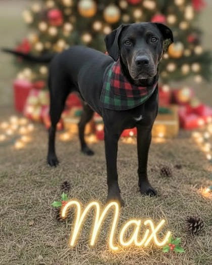 Max Dixon