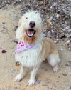 Daisy Mae Lonestar