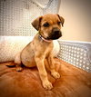 Avery Grace Lonestar