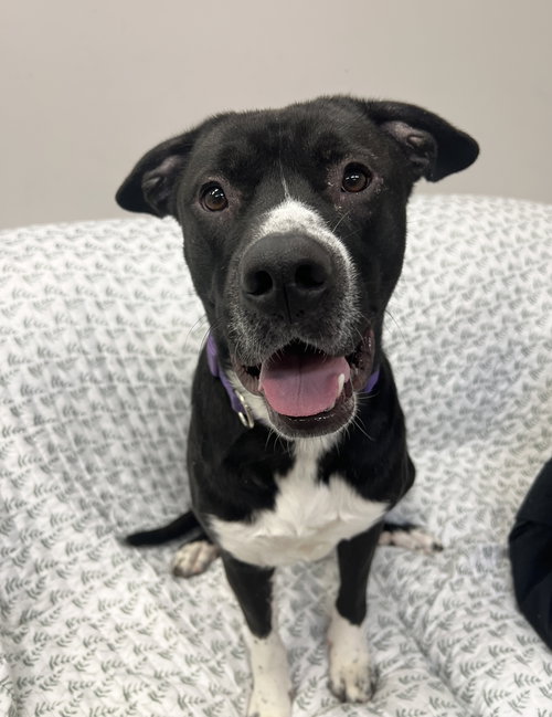 Casper Athens