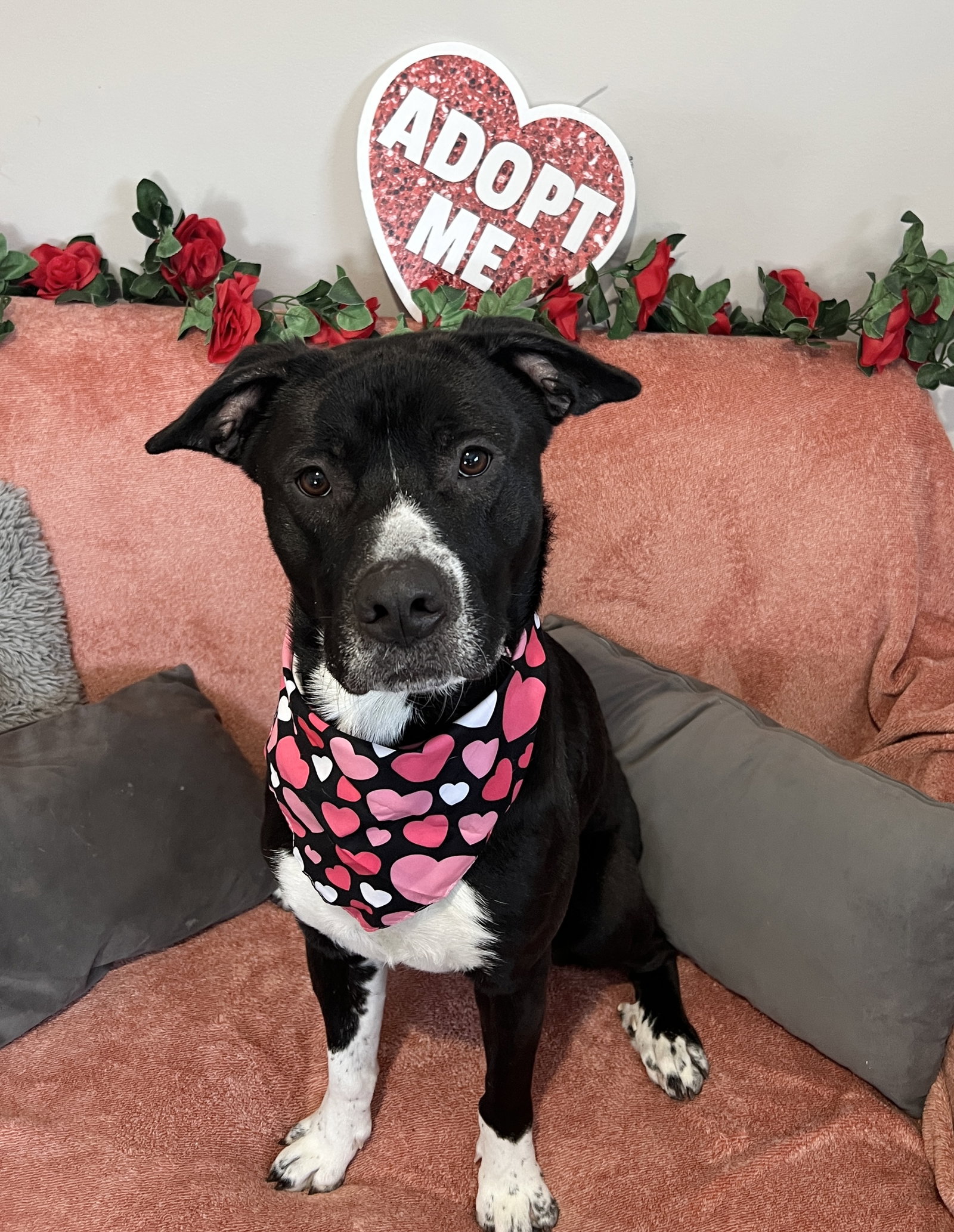 Casper Athens Image