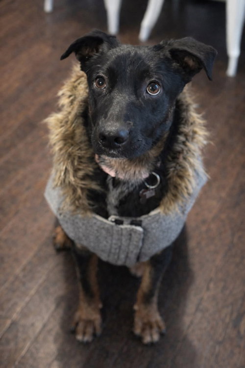 Ophelia Gch photo 3