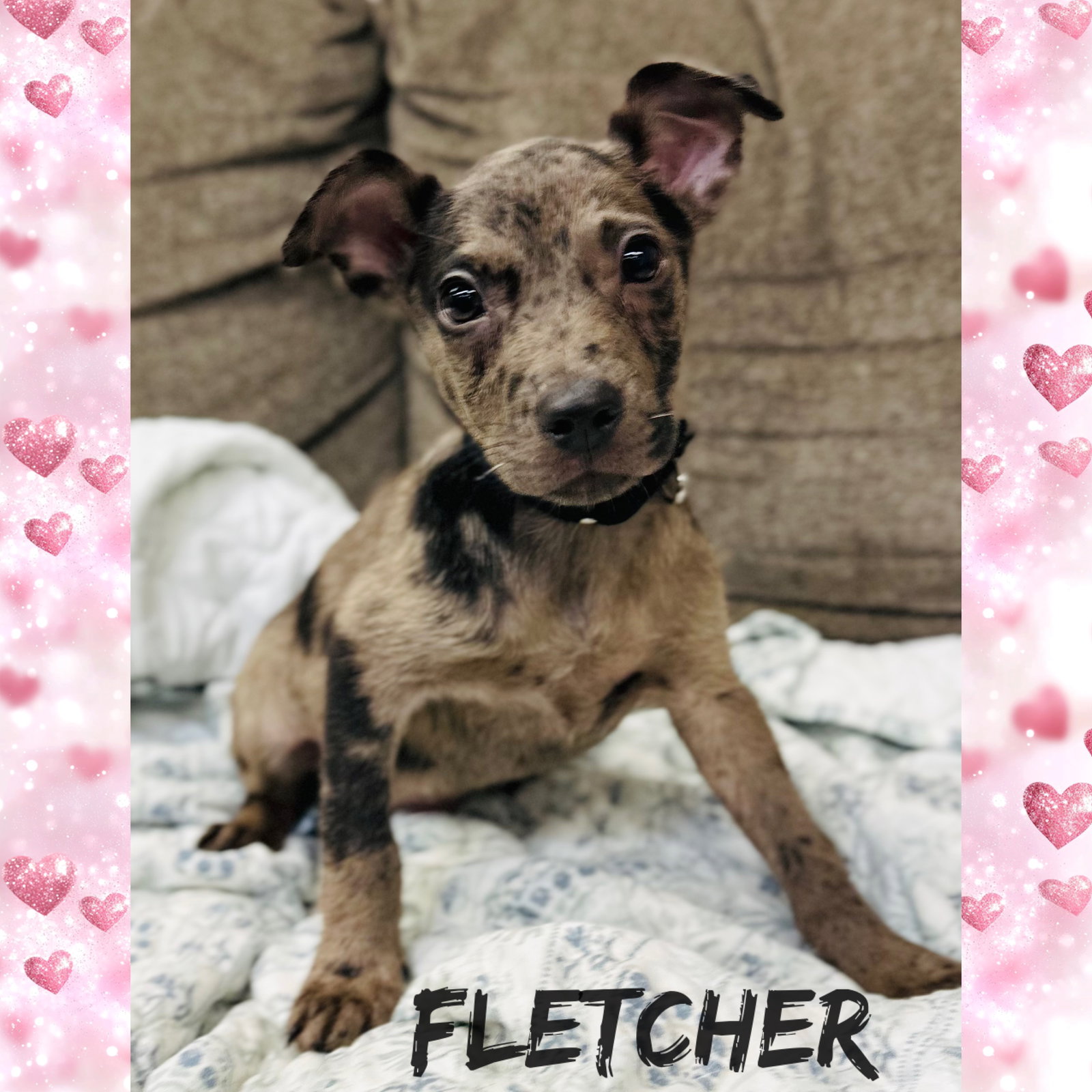 Fletcher Louisiana Image