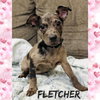 Fletcher Louisiana