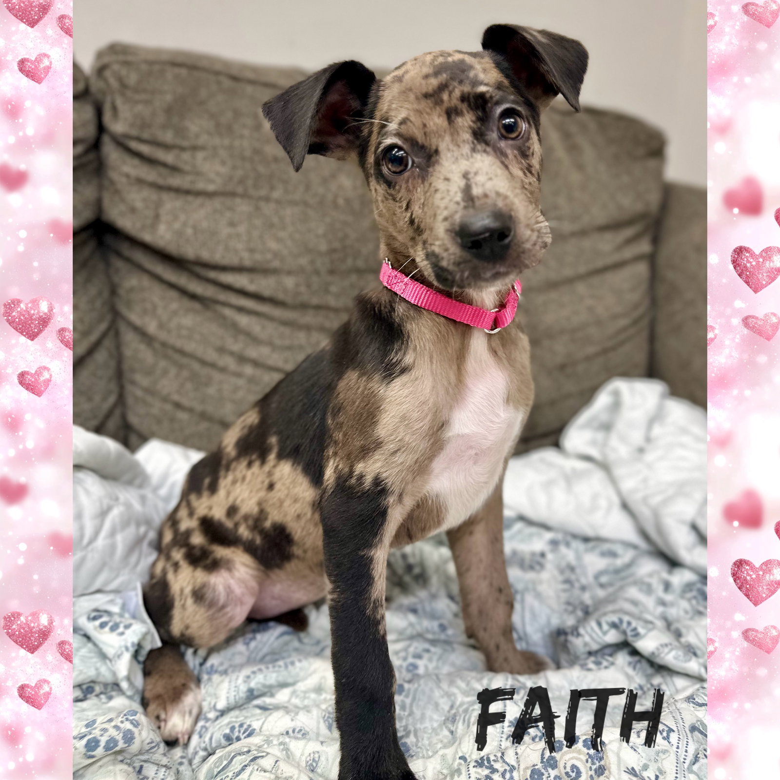 Faith Louisiana Image