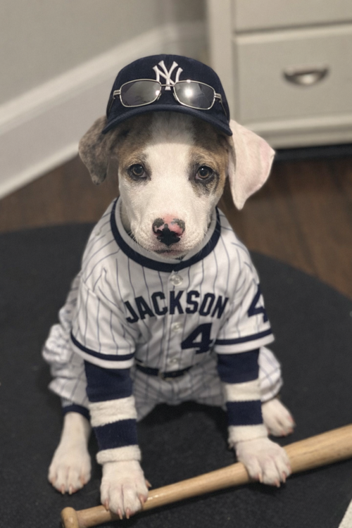 Reggie Jackson Lonestar