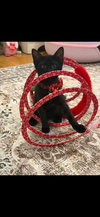 Sugar's Fendi KITTEN