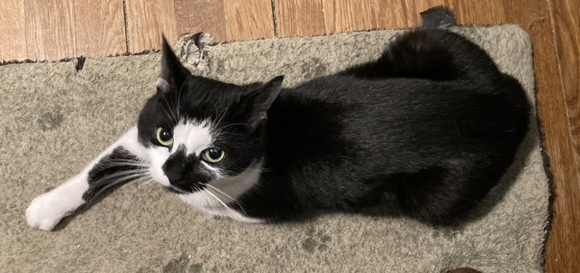 Rori Image