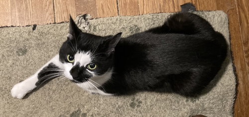 Rori