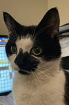 Rori