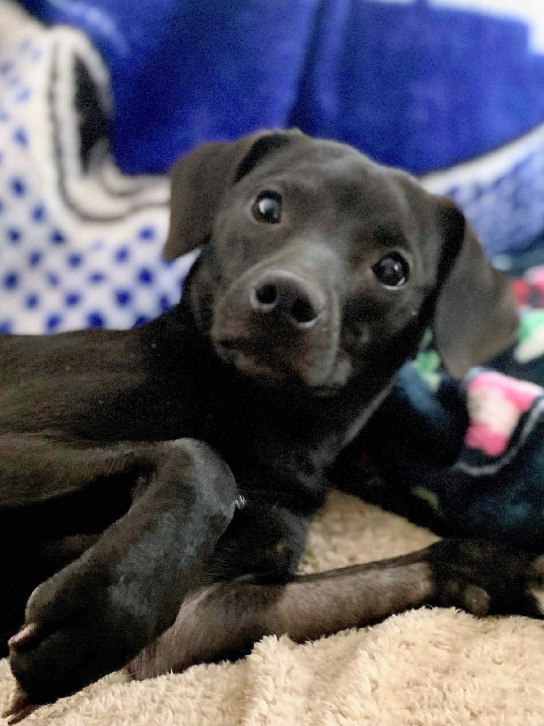 Baby Athens