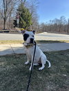 Shiloh NJ