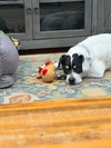 Bunny Athens