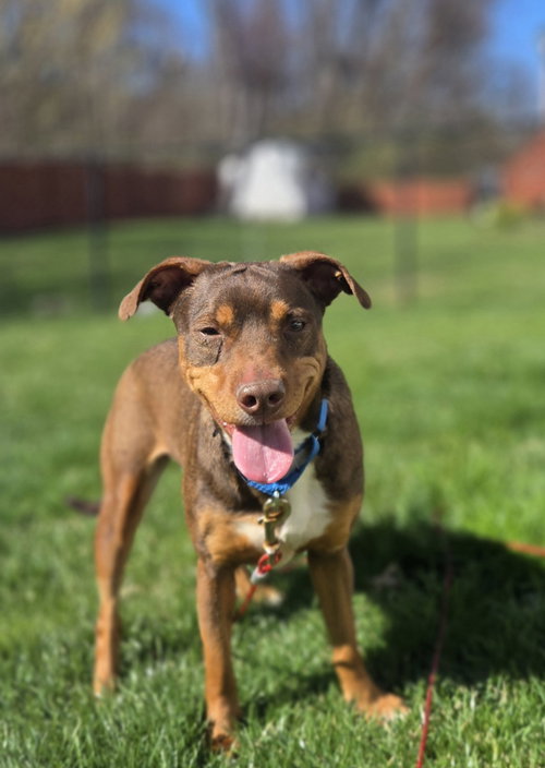 Penny SCAS photo 5