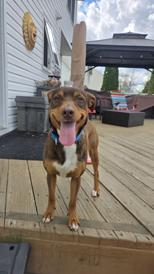 Penny SCAS photo 4