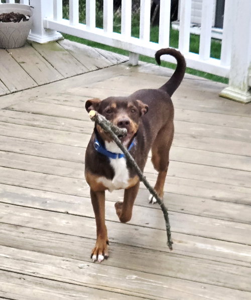Penny SCAS photo 6