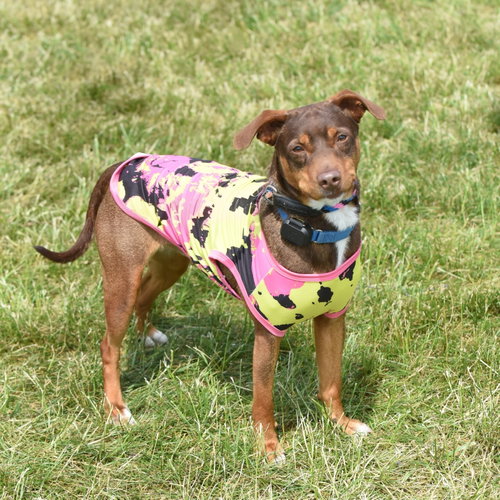 Penny SCAS photo 3