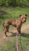 Rosie Louisiana