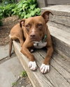 Rosie Louisiana