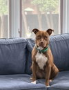 Rosie Louisiana