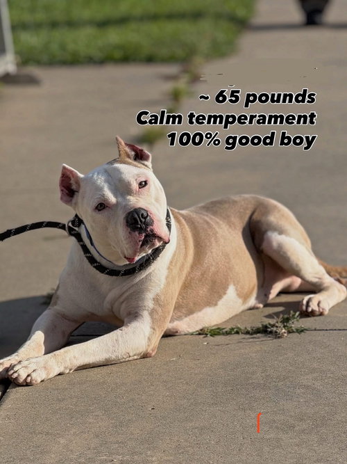 Cain Athens