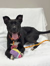 Gerard Athens