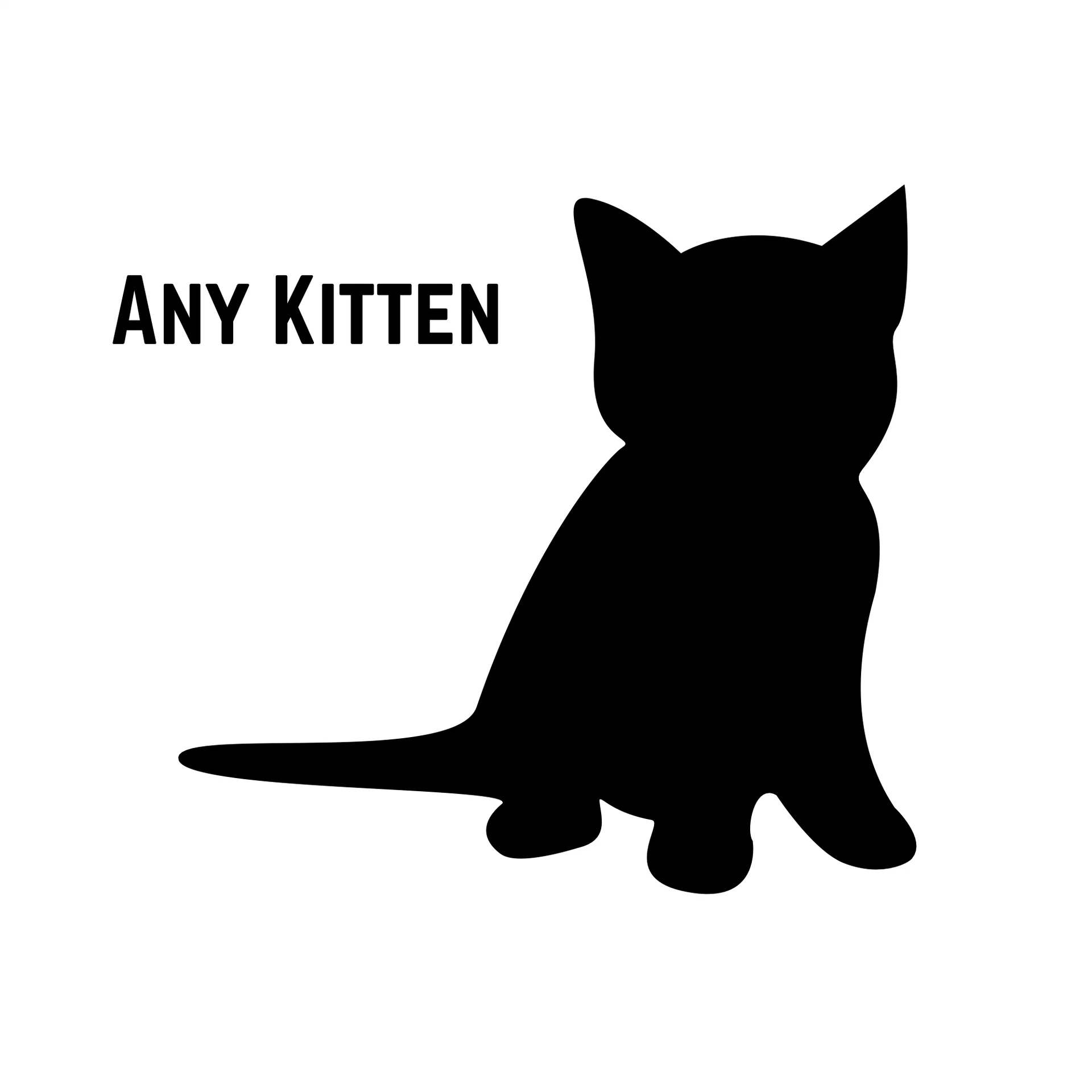 A Kitten  Months And Under