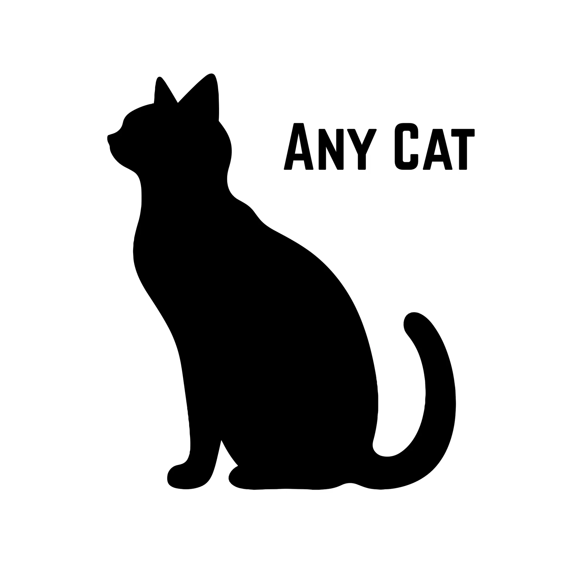 A Cat  Months And Older - Unknown